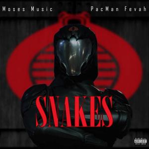 Snakes(feat. Pacman Fevah) (Explicit)