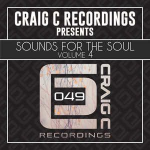 Sounds For The Soul, Vol.4