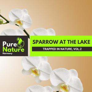 Sparrow at The Lake - Trapped in Nature, Vol.2