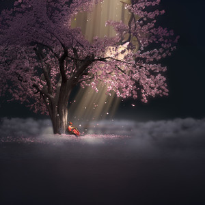 魏小涵-似水流年 缤纷 琵琶 (瑾谙 Remix)