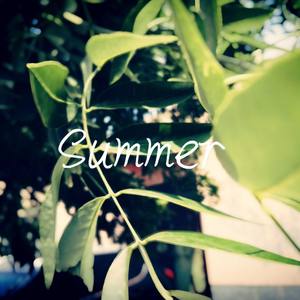 summer