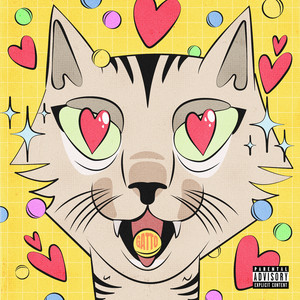 Mi piaci da matti (Explicit)