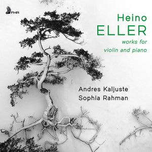 Sonata for Violin and Piano No. 2 in D Minor - Sonata for Violin and Piano No. 2 (I. Allegro)