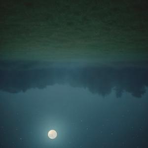 we dont need the moon