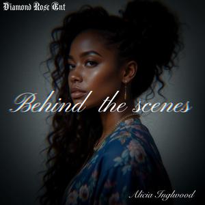 Terms And Conditions (Explicit)