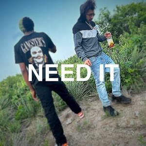 NEED IT (feat. FTB BABY G & FTB TREY 3) (Explicit)