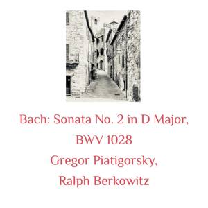 Bach: Sonata No. 2 in D Major, BWV 1028