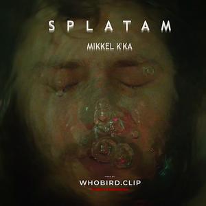 SPLATAM (Explicit)