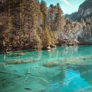 A Time for Relaxation