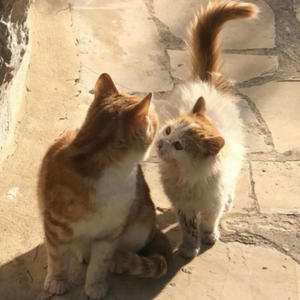 give it a go (feat. Micoye) (Explicit)