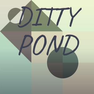 Ditty Pond