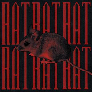 Rat (Explicit)