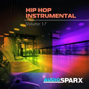 Hip Hop Instrumental Volume 17