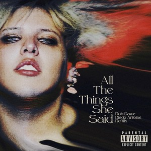 All the Things She Said (Remix) [Explicit]