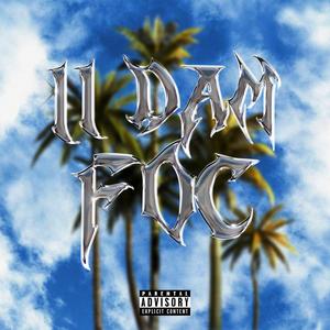 Ii Dam Foc(feat. Trib) (Explicit)
