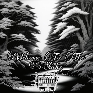 Welcome to the Stickz (Explicit)