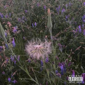 my hallucinations are an embodiment of you still watching over me. (Explicit)