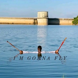 I'm gonna fly