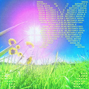 Social Butterfly