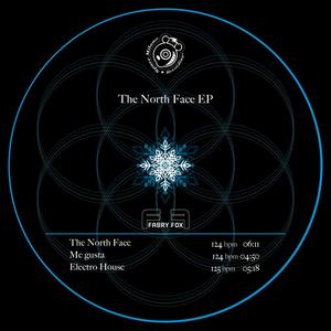 Electro House (Original Mix)