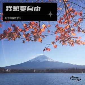 偷歌者