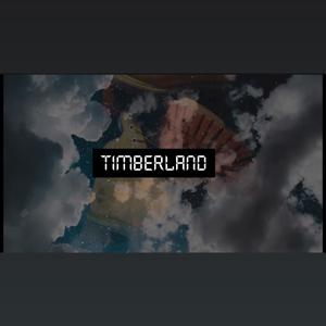 TIMBERLAND (feat. WEEZY_ONTK, WOODNEKER_ONTK, G-PETER_ONTK & B13 DANKANNI)