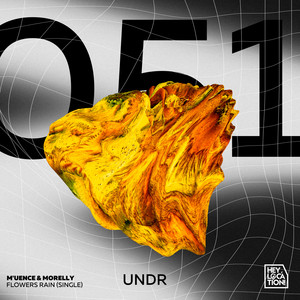 Flowers Rain (Original Mix)