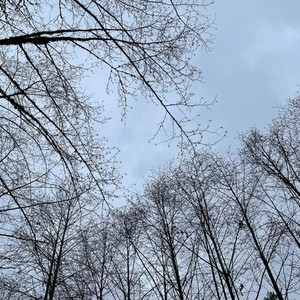 love language (improv: 7/30/2022)