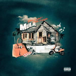 MULA (feat. Blake el Diablo)