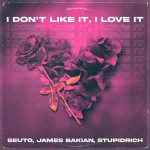 I Don't Like It, I Love It (feat. James Bakian & StupidRich)