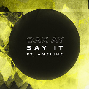 Say It (feat. Ameline)