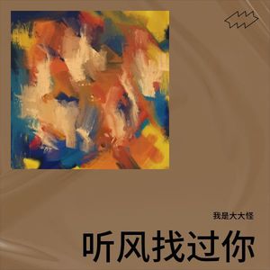 听风找过你 (伴奏)