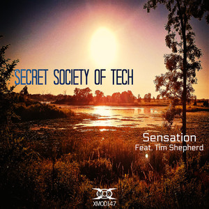 Sensation(Feat. Tim Shepherd) (Original Mix)