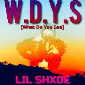 W.D.Y.S (Explicit)