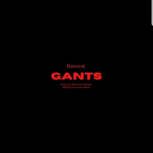 GANTS (Explicit)