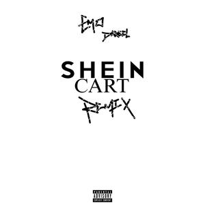 SHEIN CART (Freestyle) (Remix) [Explicit]