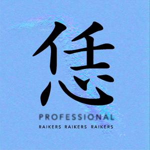 恁 PROFESSIONAL