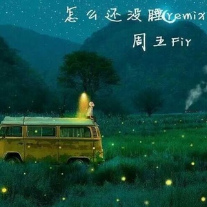 怎么还没睡remix (Remix)