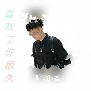 喜欢了你很久