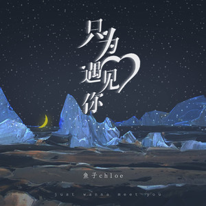 只为遇见你