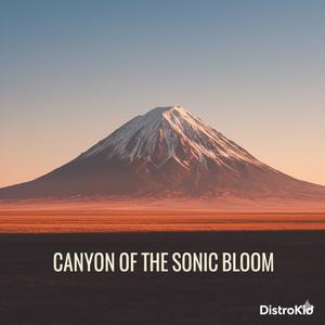 Canyon of the sonic Bloom