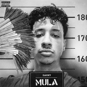 Mula(feat. Guy) (Explicit)