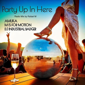 Party Up In Here (Deep House Mix)