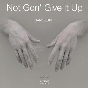 Not Gon' Give It Up (Radio Edit)