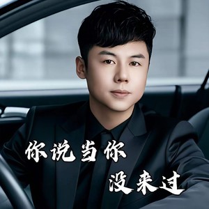 你说当你没来过