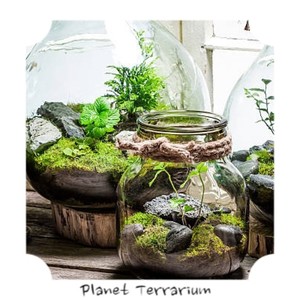 Planet Terrarium