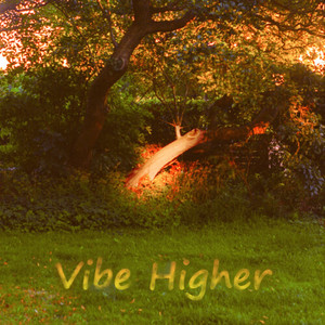 Vibe Higher