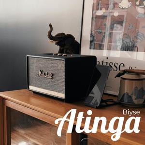 Atinga