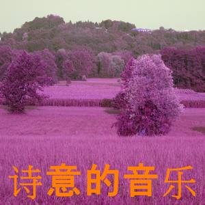 诗意的音乐 (Explicit)