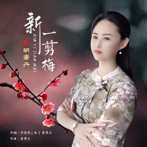 胡蜜丹 - 新一剪梅